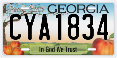 GA license plate CYA1834