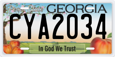GA license plate CYA2034