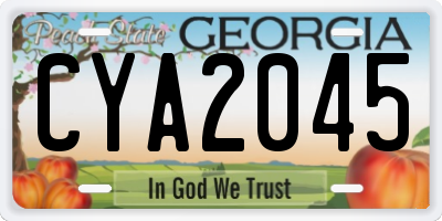 GA license plate CYA2045