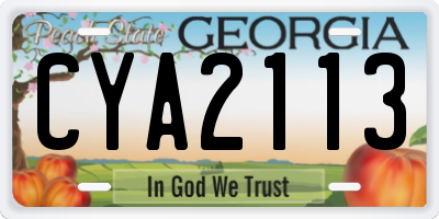 GA license plate CYA2113