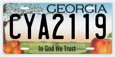 GA license plate CYA2119