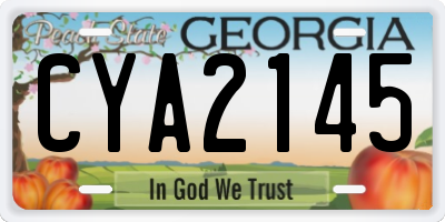 GA license plate CYA2145