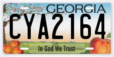 GA license plate CYA2164