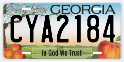 GA license plate CYA2184