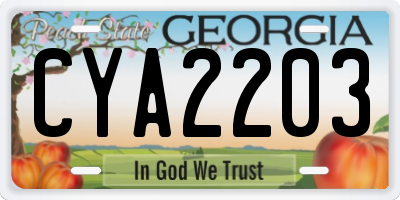 GA license plate CYA2203