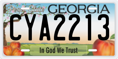 GA license plate CYA2213