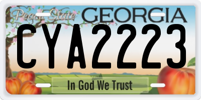 GA license plate CYA2223