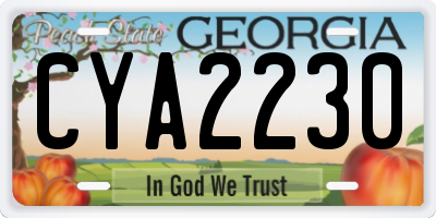 GA license plate CYA2230