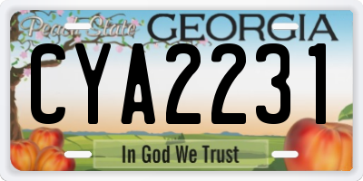 GA license plate CYA2231