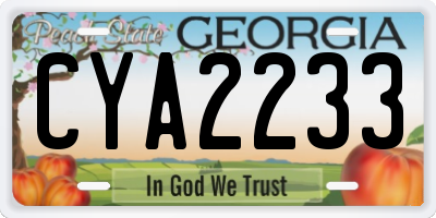 GA license plate CYA2233