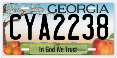 GA license plate CYA2238