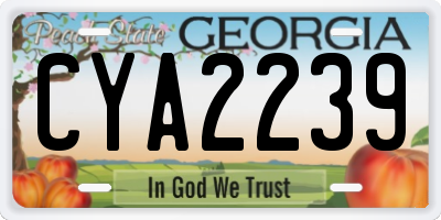 GA license plate CYA2239