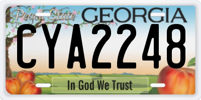 GA license plate CYA2248