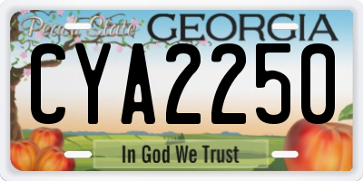GA license plate CYA2250