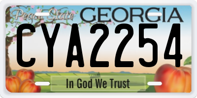 GA license plate CYA2254