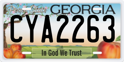 GA license plate CYA2263