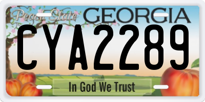 GA license plate CYA2289