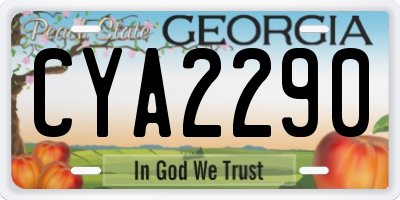 GA license plate CYA2290