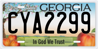 GA license plate CYA2299