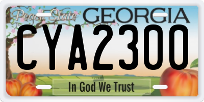 GA license plate CYA2300