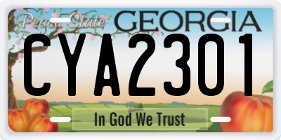 GA license plate CYA2301
