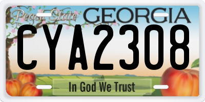 GA license plate CYA2308