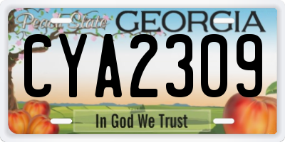 GA license plate CYA2309