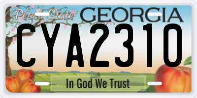 GA license plate CYA2310