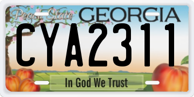 GA license plate CYA2311