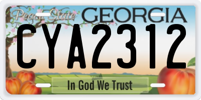 GA license plate CYA2312