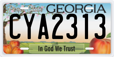 GA license plate CYA2313