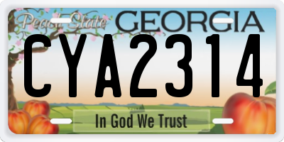 GA license plate CYA2314