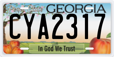 GA license plate CYA2317
