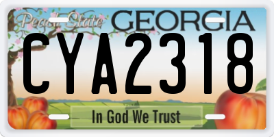 GA license plate CYA2318