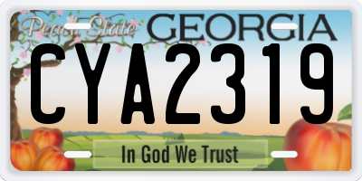 GA license plate CYA2319