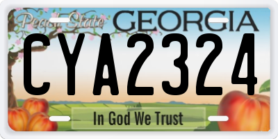 GA license plate CYA2324
