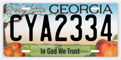 GA license plate CYA2334
