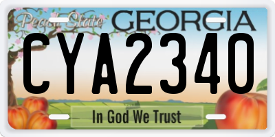 GA license plate CYA2340