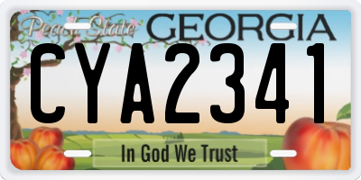 GA license plate CYA2341