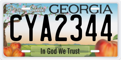GA license plate CYA2344