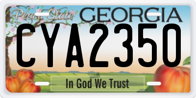 GA license plate CYA2350