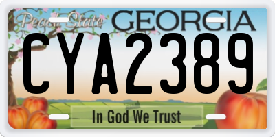 GA license plate CYA2389