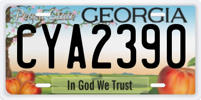 GA license plate CYA2390