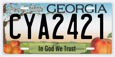GA license plate CYA2421