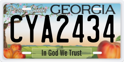GA license plate CYA2434