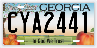 GA license plate CYA2441