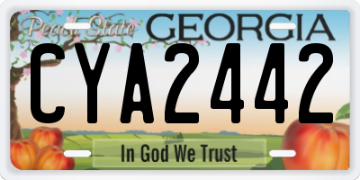 GA license plate CYA2442