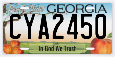 GA license plate CYA2450
