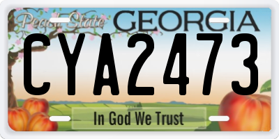 GA license plate CYA2473