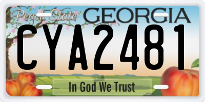 GA license plate CYA2481